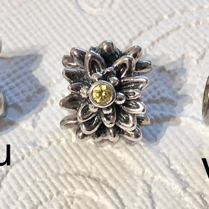 Pandora Moments : Edelweiss charm